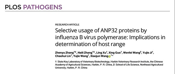 1610687630884717.jpg 攝圖網(wǎng)_500133665_商務(wù)人士機(jī)場(chǎng)打電話(非企業(yè)商用).jpg