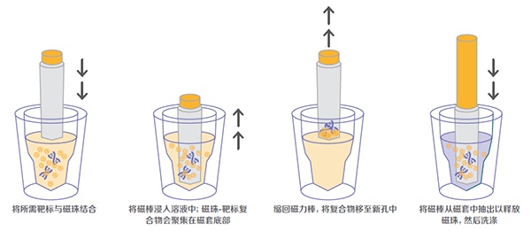 1610690134653558.jpg 微信圖片_20210115135508.jpg