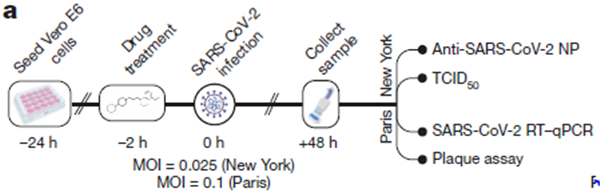 1625645493866791.png 640 (5).png