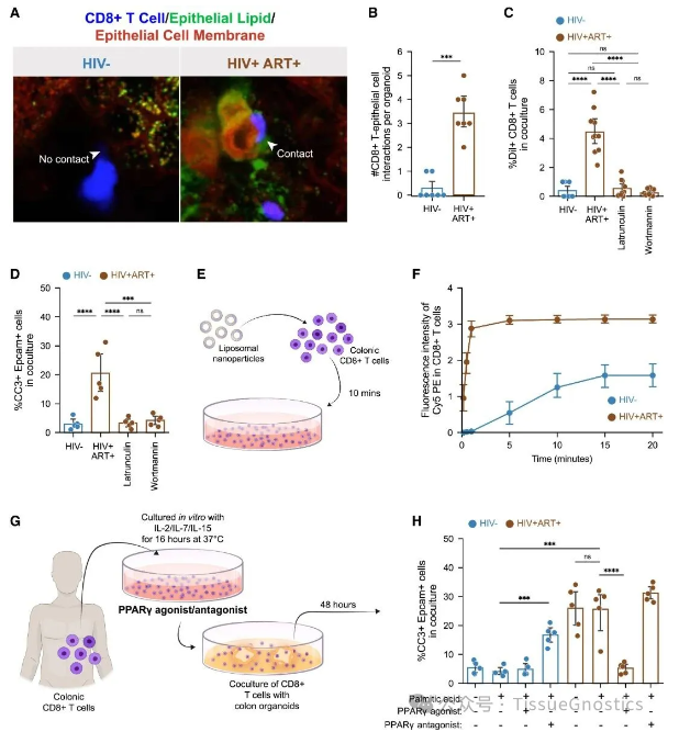 1766925164631577.png image.png