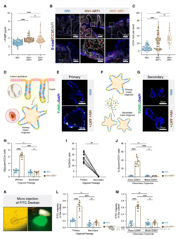 1766925208961747.png image.png