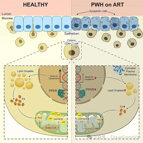 1766925223646297.png image.png